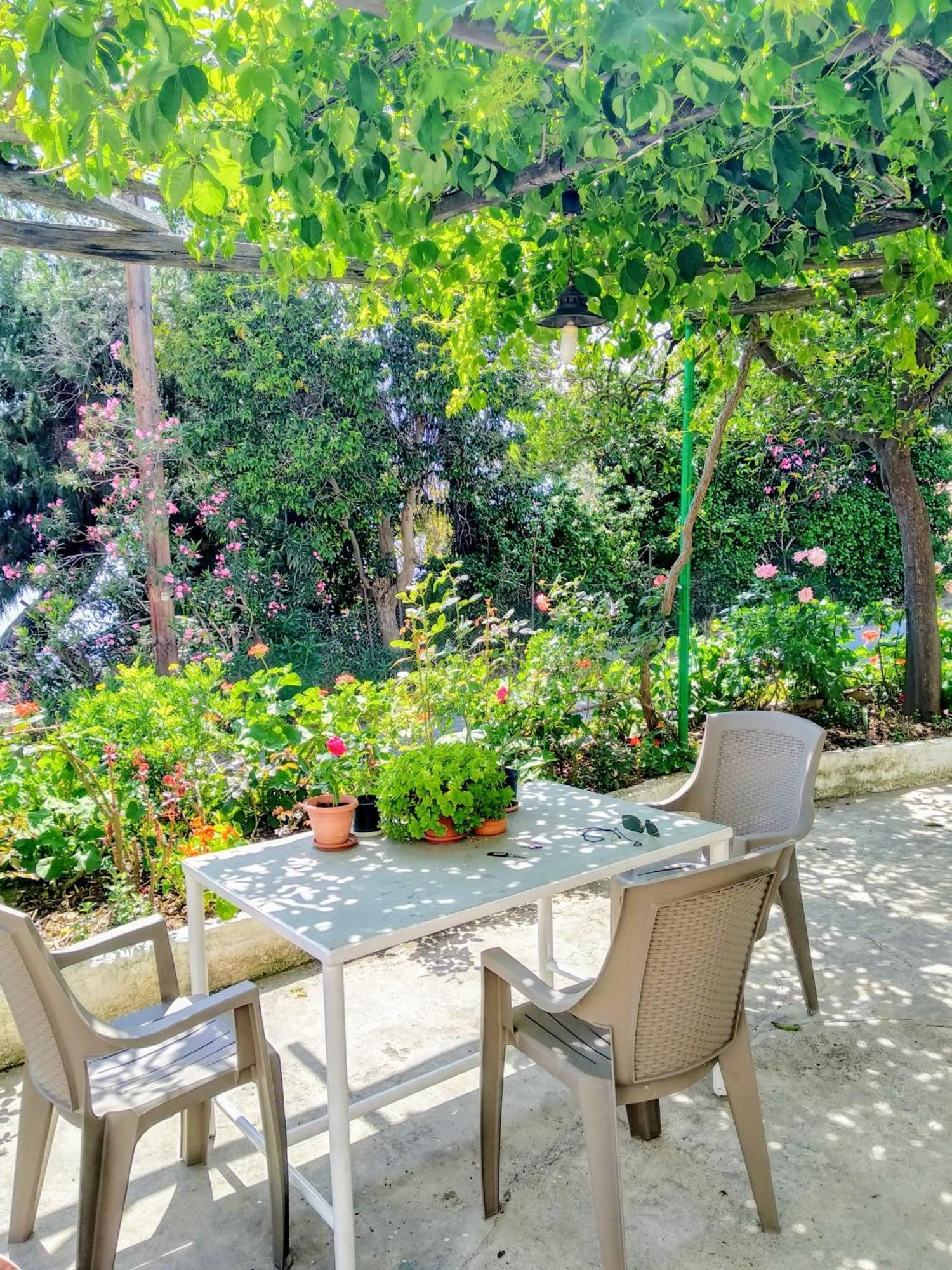 Pelion Seaside Luxury House Apartment Áfissos Ngoại thất bức ảnh
